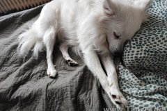 IMG_20220414_084706