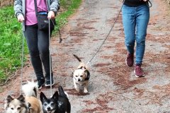 IMG_20220526_142745