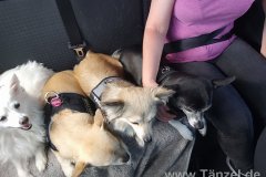 IMG_20220526_172314
