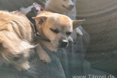 IMG_20220526_172422