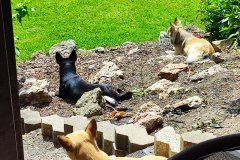 IMG_20220601_144026