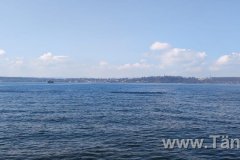 IMG-20230409-WA0055