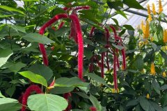 IMG-20230409-WA0070
