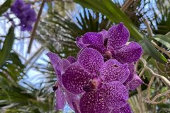 IMG-20230409-WA0071