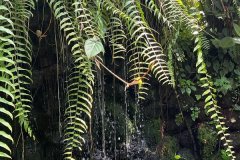 IMG-20230409-WA0078