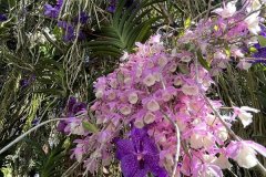 IMG-20230409-WA0080