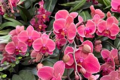 IMG-20230409-WA0083