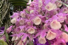 IMG-20230409-WA0092