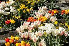 IMG-20230409-WA0100