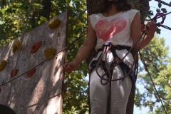 MedulinAdrenalinPark8_8_17_43