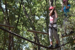 MedulinAdrenalinPark8_8_17_70