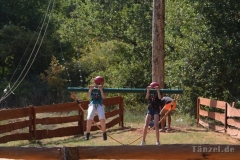 MedulinAdrenalinPark8_8_17_93