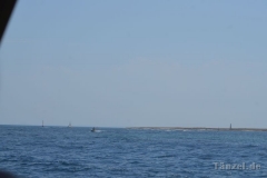 Medulin Schifffsfahrt9_8_17_35