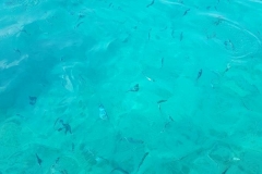 Medulin Schifffsfahrt9_8_17_5