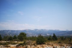 IMG_20190824_114207