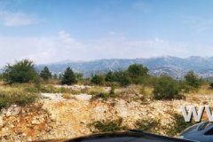 IMG_20190824_114255