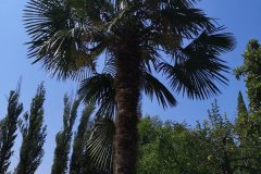 IMG-20190902-WA0049