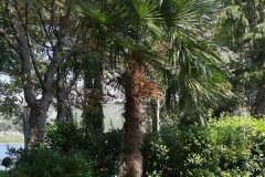 IMG-20190902-WA0053