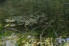 IMG-20190902-WA0073
