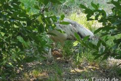 IMG-20190902-WA0088