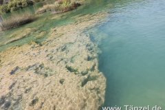 IMG-20190903-WA0192