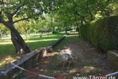 IMG-20190903-WA0284