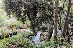 IMG-20190903-WA0299