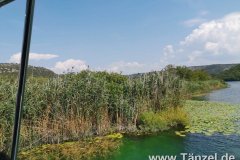 IMG-20190903-WA0310