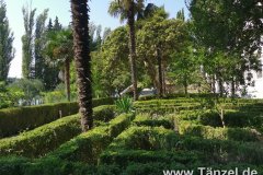 IMG-20190903-WA0329