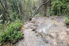 IMG-20190903-WA0342