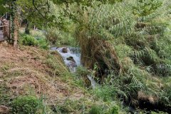 IMG-20190903-WA0343
