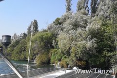 IMG_20190902_145136