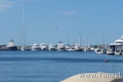 IMG-20190904-WA0013
