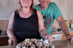 IMG-20190905-WA0011