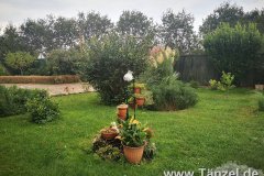 IMG_20190906_110022