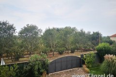 IMG_20190906_110215