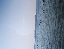 IMG_20190826_155148