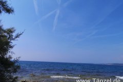 IMG-20190828-WA0007