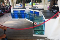 IMG_20190828_181746