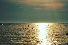 IMG_20190828_184937_050