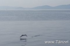 IMG-20190830-WA0043