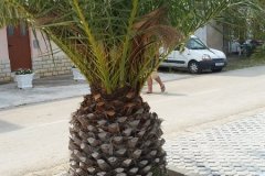 IMG-20190830-WA0100