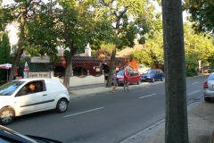 Siofok2011_444