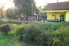 Siofok2011_454
