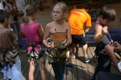Siofok2011_480