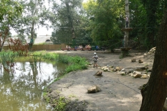 Siofok2011_574