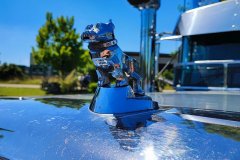 IMG_20220612_115208