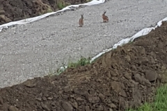 20170629_203545