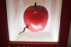 IMG_20190621_135622